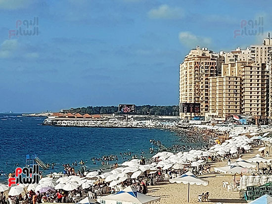 شاطئ-محافظة-الإسكندرية