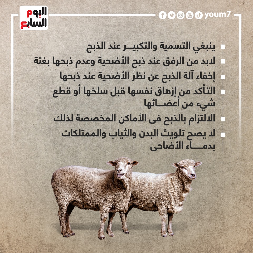 إرشادات الإفتاء عن أضحية عيد الأضحى إرشادات الإفتاء عن أضحية عيد الأضحى