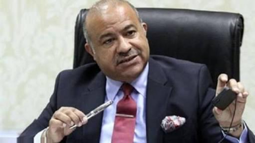 الدكتور إبراهيم عشماوي مساعد أول وزير التموين