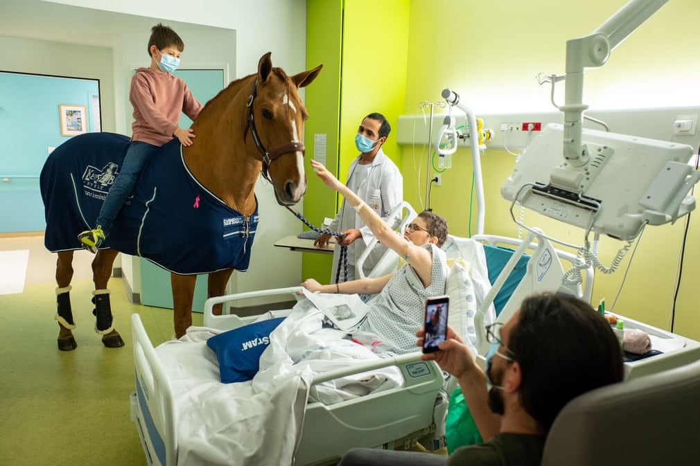 مريض يحيي حصانًا في مركز للرعاية التلطيفية في أحد مستشفيات كاليه