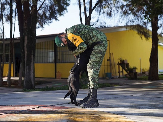 جندي يلعب مع كلب ضال في الملجأ