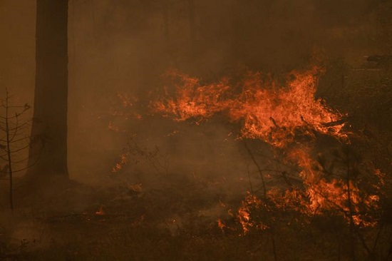 دمرت حرائق الغابات نيسبيليم في ولاية واشنطن الشرقية