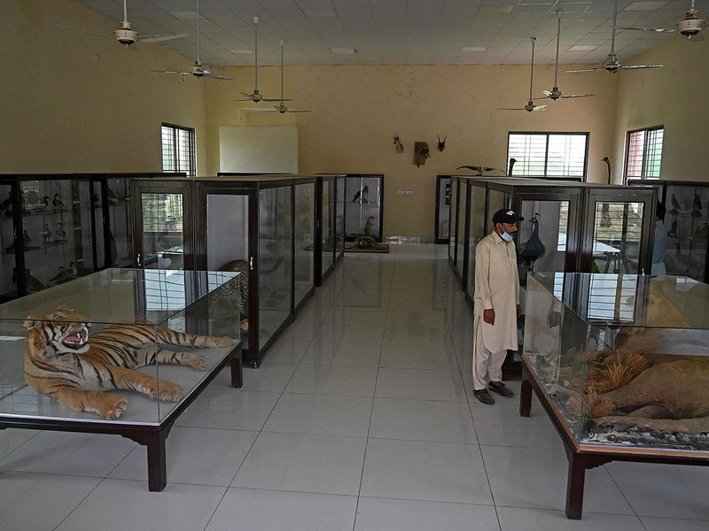 متحف تحنيط في باكستان