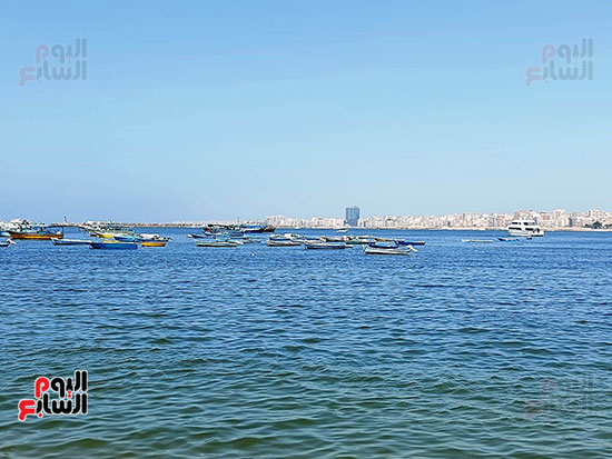 شواطئ-الاسكندرية