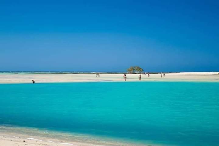 محمية وادي الجمال بمرسي علم