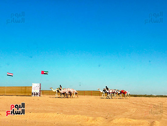 فى-مضمار-السباق