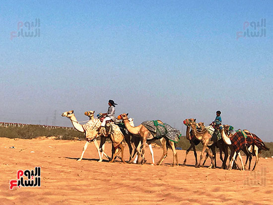 مشاركة-من-كل-المحافظات