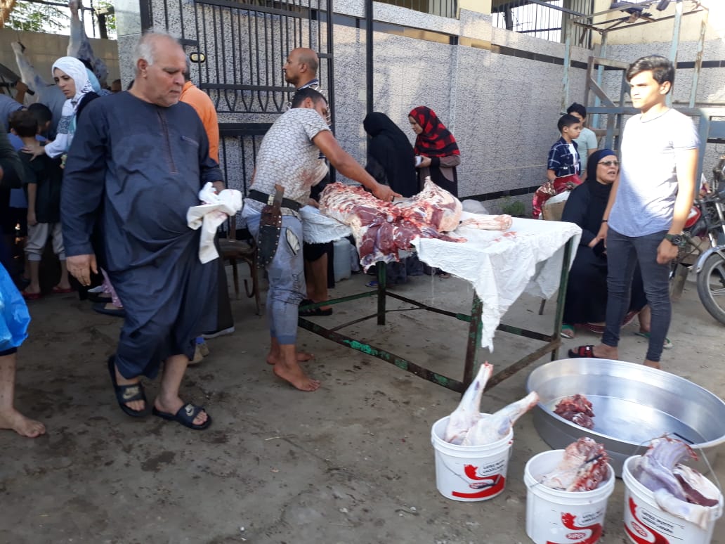 ذبح الأضاحى بالمجان بمجازر القليوبية ذبح الأضاحى بالمجان بمجازر القليوبية