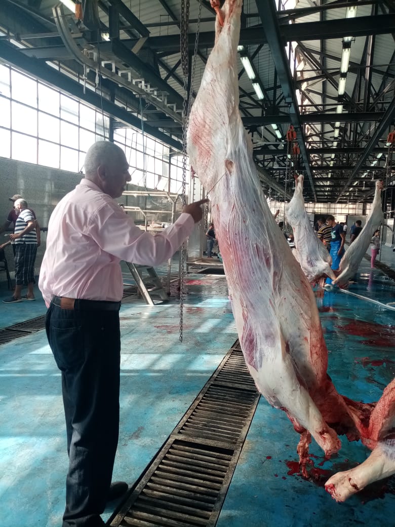 ذبح اللحوم بمجازر القليوبية