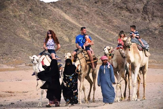 ركوب الجمال بالسفارى الجبلى بالبحر الاحمر