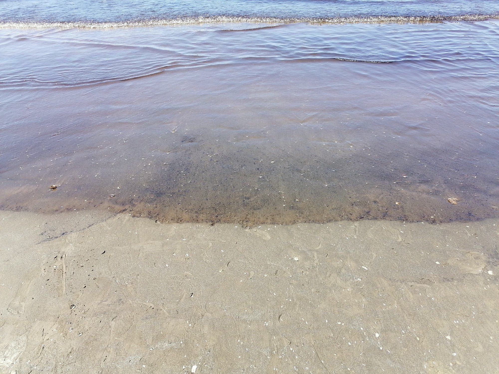آثار مواد بترولية في الشاطئ
