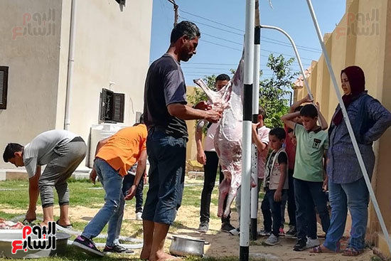 اعمال-ذبح-وتوزيع-الاضاحى اعمال-ذبح-وتوزيع-الاضاحى