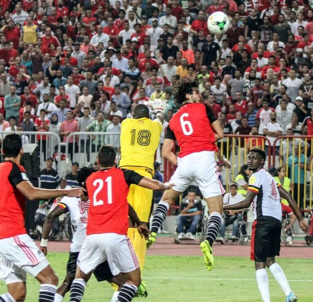 احمد حجازي (4)