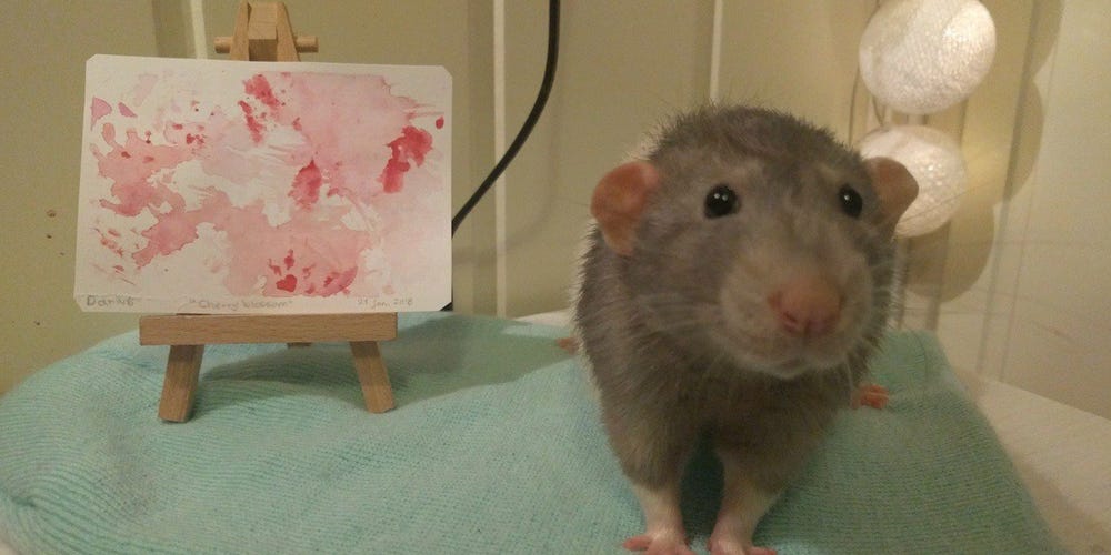 فئران ترسم لوحات فنية (1)