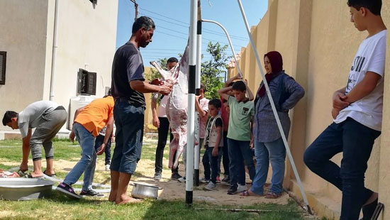 متطوعون-يوفرون-الاضاحى متطوعون-يوفرون-الاضاحى