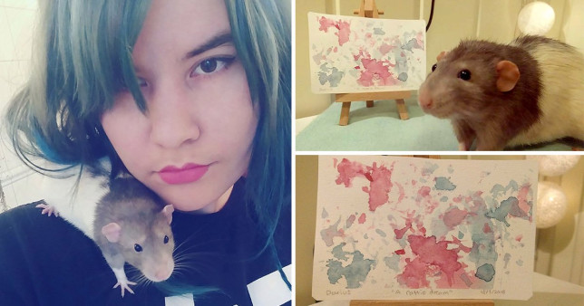 فئران ترسم لوحات فنية (3)