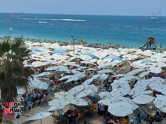 الآلاف-يمارسون-السباحة-بشاطئ-الإسكندرية