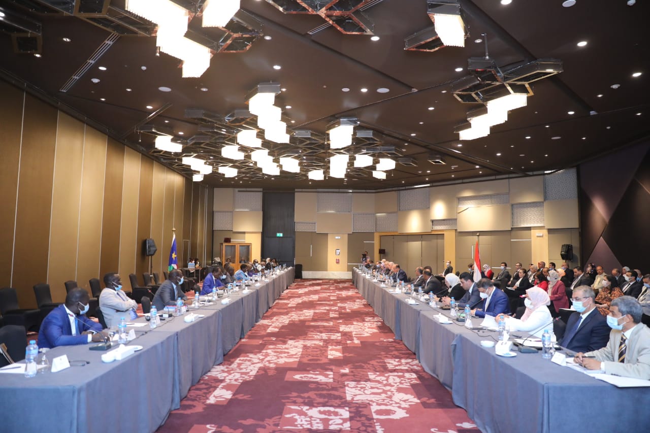 اجتماع الخبراء (3)