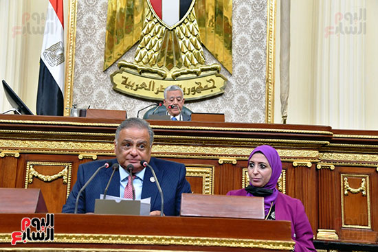 الجلسة العامة لمجلس النواب (2)