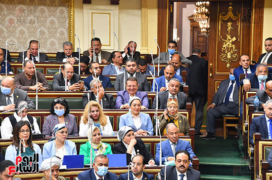 مجلس النواب  (3)