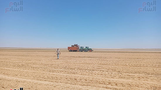 استزراع 20-الف فدان بالمنيا