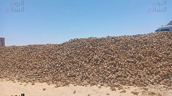 عمليات استزراع 20-الف فدان