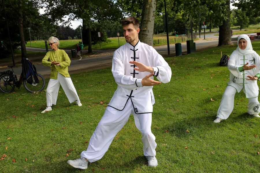 أشخاص يمارسون رياضة تاي جي  في متنزه ببروكسل
