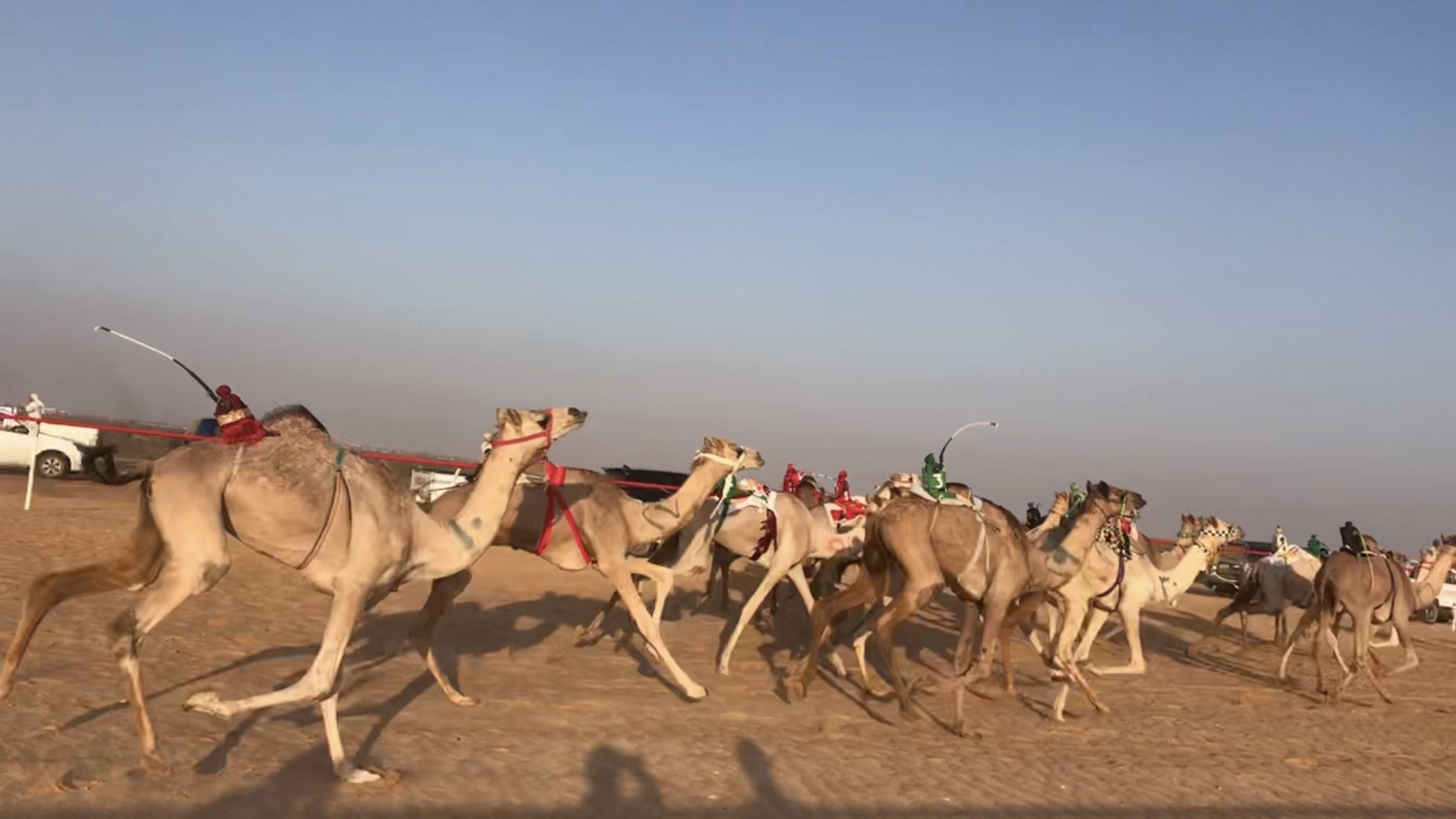 انطلاق المنافسات