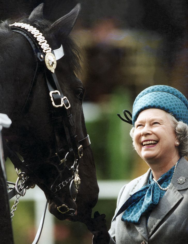 الملكة مع أحد خيولها