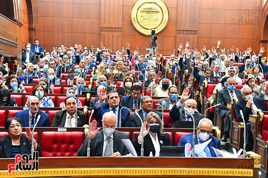 جلسة مجلس الشيوخ برئاسة المستشار عبد الوهاب عبد الرزاق رئيس المجلس  (31)