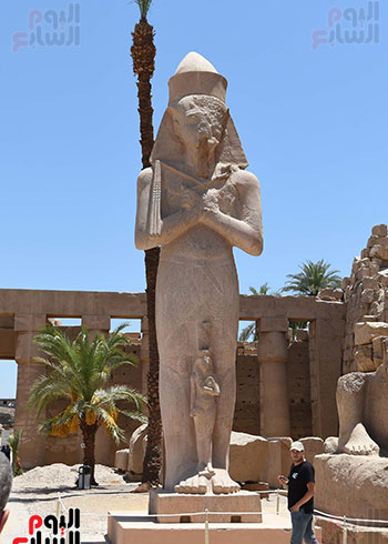 جولة رئيس الوزراء بالاقصر (17)