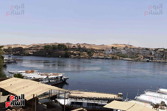 جزيرة-الألفنتين