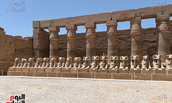 جولة رئيس الوزراء بالاقصر (14)