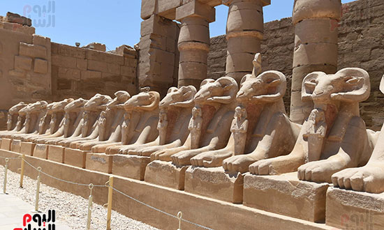 جولة رئيس الوزراء بالاقصر (15)