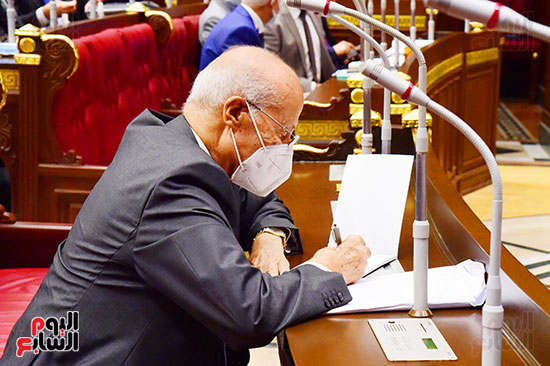 جلسة مجلس الشيوخ برئاسة المستشار عبد الوهاب عبد الرزاق رئيس المجلس  (4)