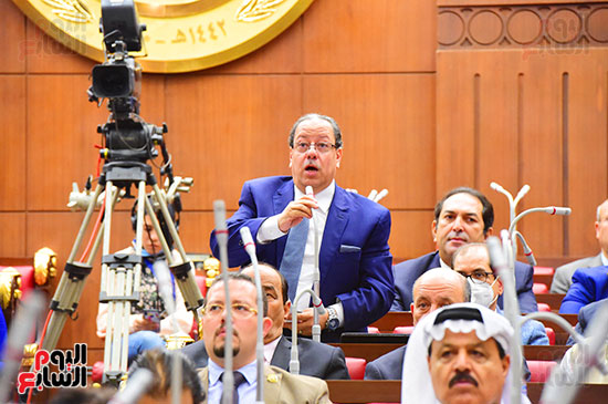 جلسة مجلس الشيوخ برئاسة المستشار عبد الوهاب عبد الرزاق رئيس المجلس  (13)