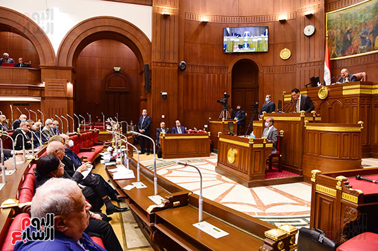 جلسة مجلس الشيوخ برئاسة المستشار عبد الوهاب عبد الرزاق رئيس المجلس  (21)