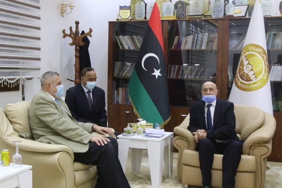 المستشار عقيلة صالح رئيس البرلمان الليبى يلتقى المبعوث الأممى لدى ليبيا