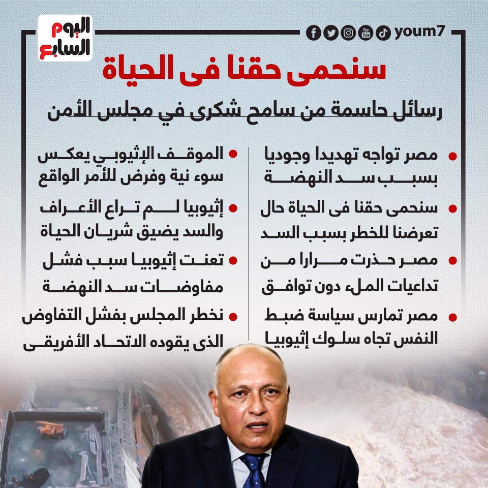 سنحمى حقنا فى الحياة.. رسائل حاسمة من سامح شكرى بمجلس الأمن