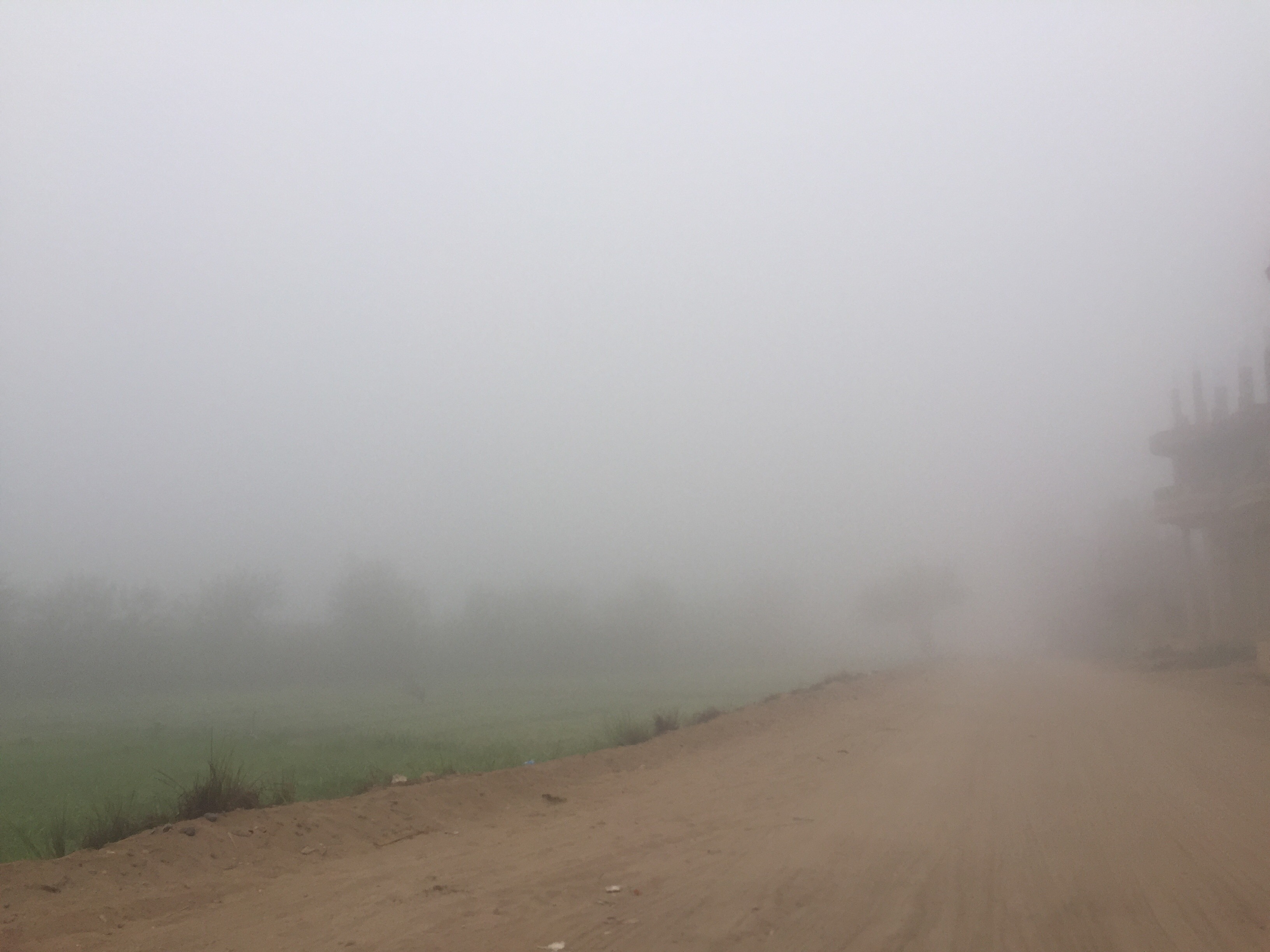 شبورة كثيفة بطريق القاهرة الاسماعيلية (1)