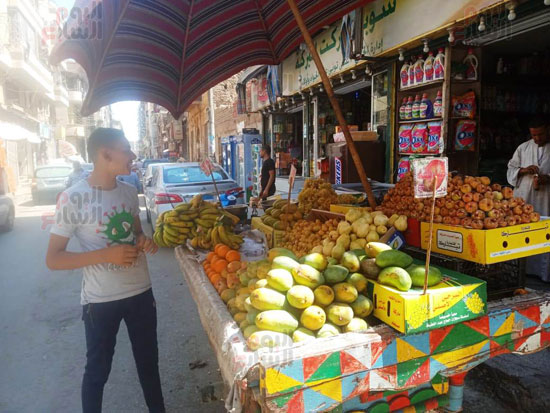 سوق المنيا (4)