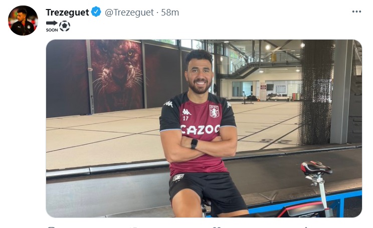 تغريدة تريزيجيه