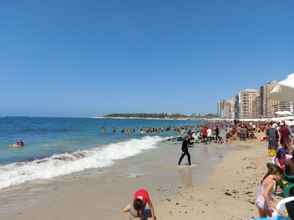إقبال على شواطئ الإسكندرية رغم التحذيرات  (2)
