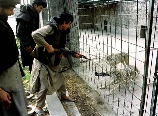 مقاتل أفغاني من طالبان في حديقة حيوان في كابول