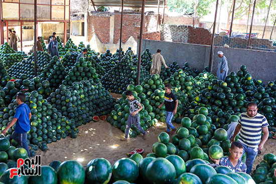 سوق البطيخ