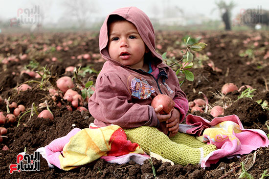 طفل في الارض الزراعية