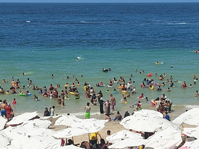 ممارسة السباحة في شاطئ الإسكندرية