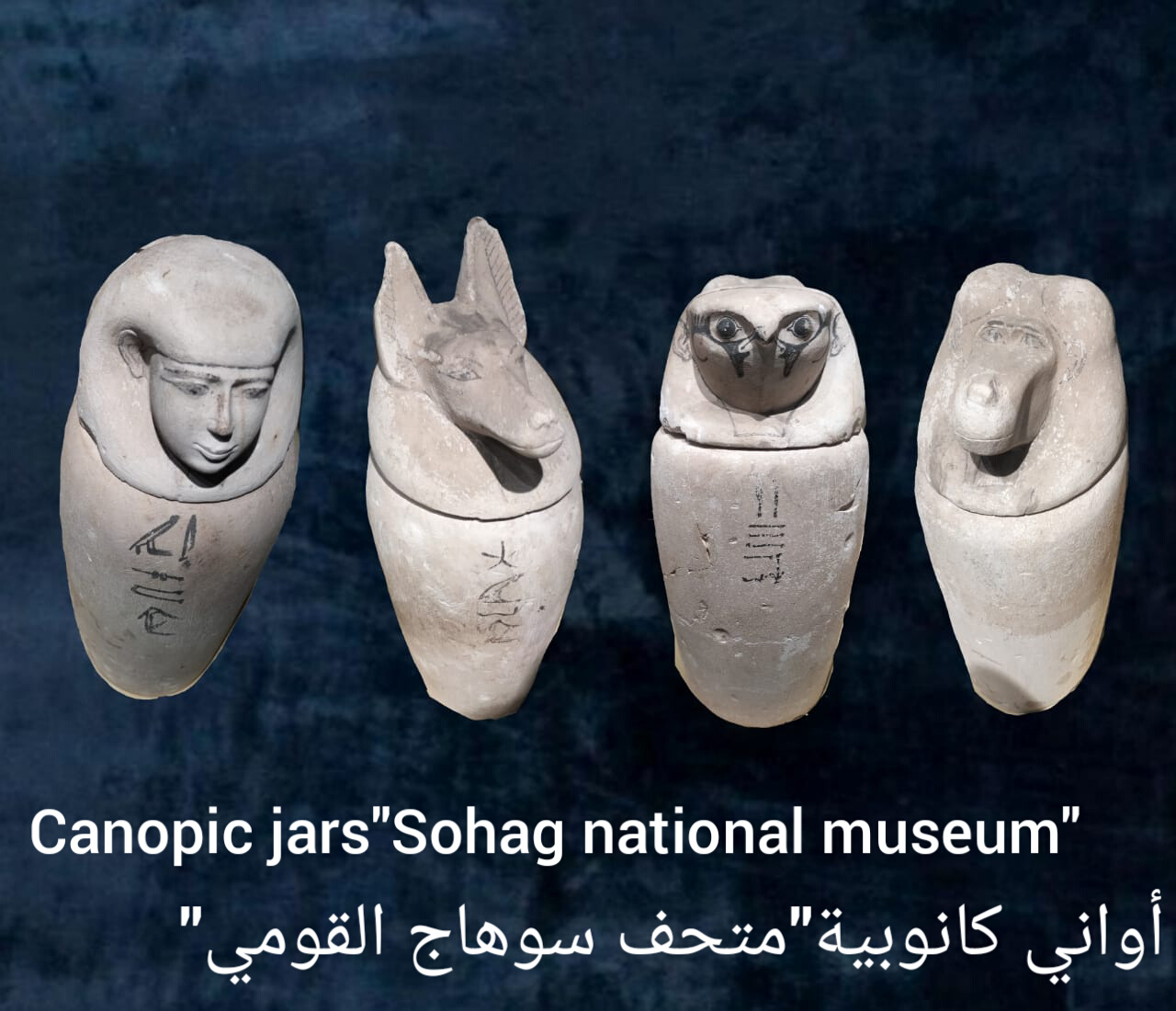 اوانى كانوبية متحف