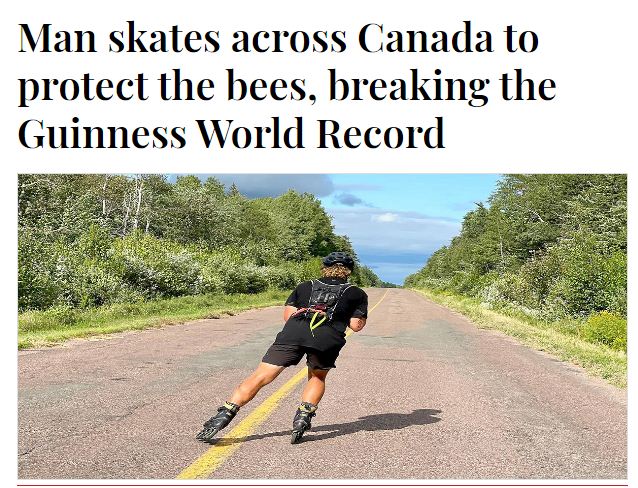 شاب كندى يتزلج للتوعية بأهمية النحل