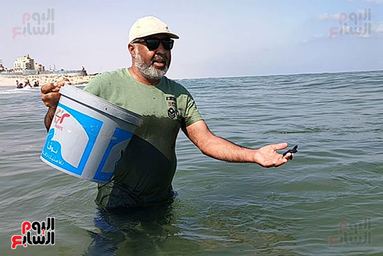 وضع-السلاحف-في-البحر